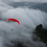 Advance PI 3 - Image 6