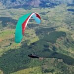 Gin Boomerang 12 - Image 4