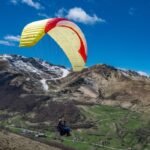 Gin Calypso 2 - Image 5