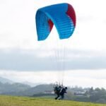 Gin Condor 2 - Image 2