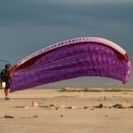 Gin Falcon 2 - Image 2