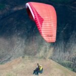 Gin Fuse 4 - Image 2