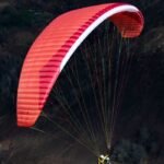 Gin Fuse 4 - Image 5