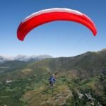 Gin Fuse Mini - Image 2