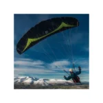 Gin Griffin - Image 2