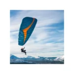 Gin Griffin - Image 3