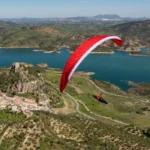 Gin Leopard - Image 3