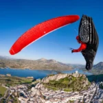 Gin Leopard - Image 4