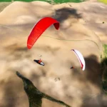 Gin Leopard - Image 6