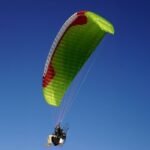 Gin Pegasus 4 - Image 3