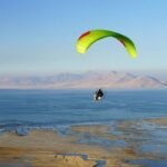 Gin Pegasus 4 - Image 4