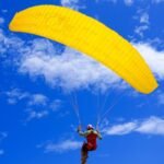 LittleCloud Puffin V2 - Image 3