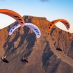 PHI ALLEGRO light - Image 2