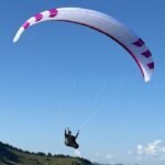 PHI MAESTRO 3 light - Image 2