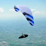 PHI TENOR 2 light - Image 4