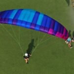 BGD SEED (Ground Handling Wing) - Image 3