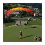 BGD SEED (Ground Handling Wing) - Image 7