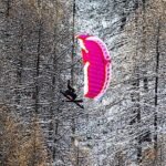 Level Wings FIZZ 2 - Image 5